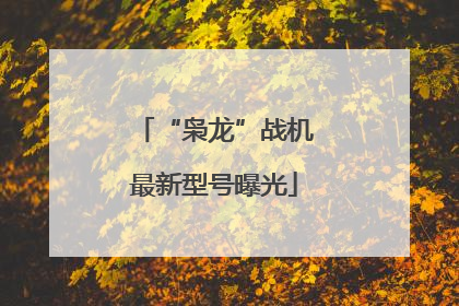 “枭龙”战机最新型号曝光