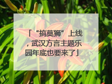 “搞莫狮”上线，武汉方言主题乐园年底也要来了