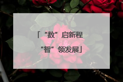 “数”启新程 “智”领发展