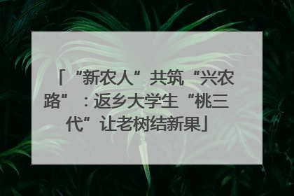 “新农人”共筑“兴农路”：返乡大学生“桃三代”让老树结新果