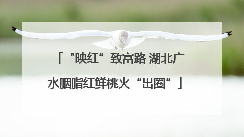 “映红”致富路 湖北广水胭脂红鲜桃火“出圈”