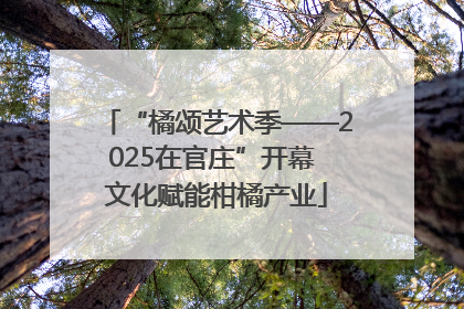 “橘颂艺术季——2025在官庄”开幕 文化赋能柑橘产业