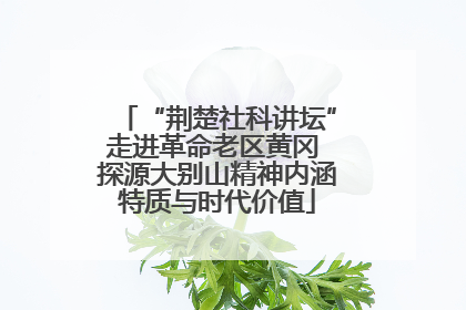 “荆楚社科讲坛”走进革命老区黄冈 探源大别山精神内涵特质与时代价值