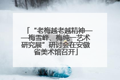 “老梅越老越精神——梅雪峰、梅纯一艺术研究展”研讨会在安徽省美术馆召开