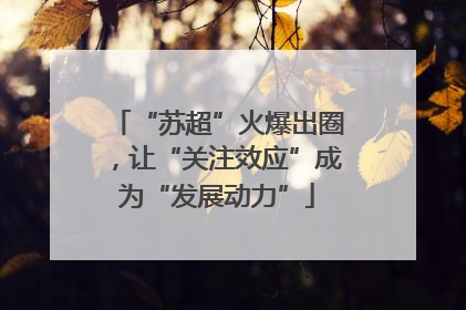 “苏超”火爆出圈，让“关注效应”成为“发展动力”