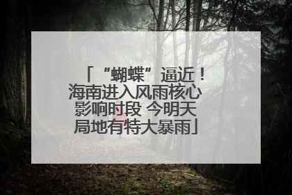 “蝴蝶”逼近！海南进入风雨核心影响时段 今明天局地有特大暴雨