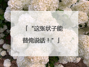 “这张状子能替俺说话！”