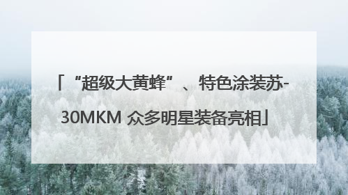 “超级大黄蜂”、特色涂装苏-30MKM 众多明星装备亮相