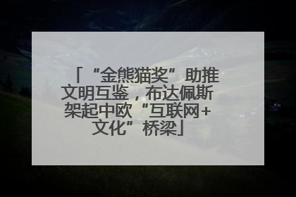 “金熊猫奖”助推文明互鉴，布达佩斯架起中欧“互联网+文化”桥梁