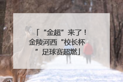 “金超”来了！金陵河西“校长杯”足球赛超燃