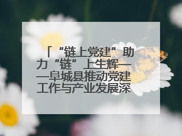 “链上党建”助力“链”上生辉——阜城县推动党建工作与产业发展深度融合