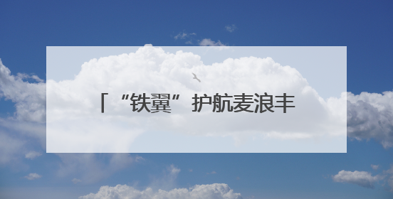 “铁翼”护航麦浪丰 平凉“一喷三防”织就夏粮丰收防护网