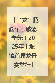 “龙”腾端午，破浪争先！2025年丁堰镇首届龙舟赛举行