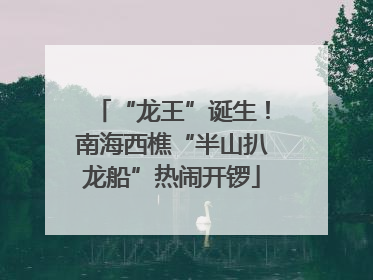 “龙王”诞生！南海西樵“半山扒龙船”热闹开锣