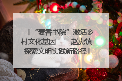 “麦香书院”激活乡村文化基因——赵虎镇探索文明实践新路径