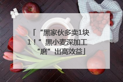 “黑家伙多卖1块1！”黑小麦深加工“磨”出高效益
