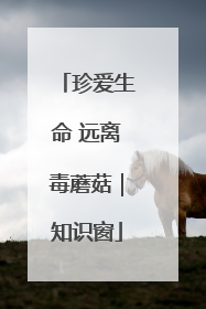 珍爱生命 远离毒蘑菇｜知识窗