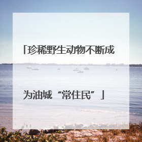 珍稀野生动物不断成为油城“常住民”