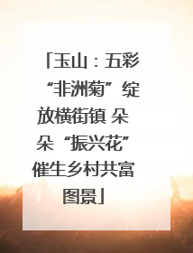 玉山：五彩“非洲菊”绽放横街镇 朵朵“振兴花”催生乡村共富图景