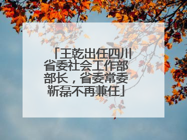 王乾出任四川省委社会工作部部长，省委常委靳磊不再兼任