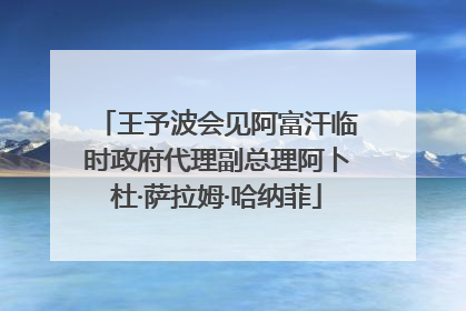 王予波会见阿富汗临时政府代理副总理阿卜杜·萨拉姆·哈纳菲