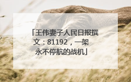 王伟妻子人民日报撰文：81192，一架永不停航的战机