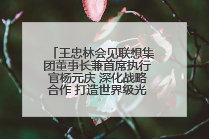 王忠林会见联想集团董事长兼首席执行官杨元庆 深化战略合作 打造世界级光电子信息产业集群