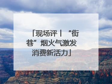 现场评丨“街巷”烟火气激发消费新活力