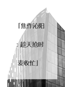 焦作沁阳：趁天抢时麦收忙