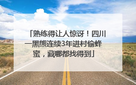熟练得让人惊讶！四川一黑熊连续3年进村偷蜂蜜，藏哪都找得到