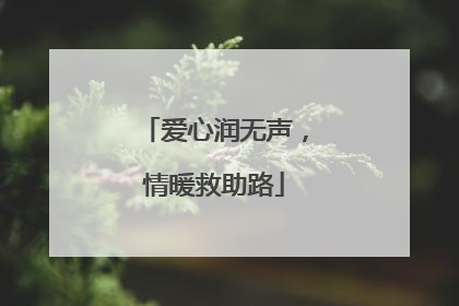 爱心润无声，情暖救助路