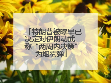 特朗普被曝早已决定对伊朗动武 称“两周内决策”为烟雾弹