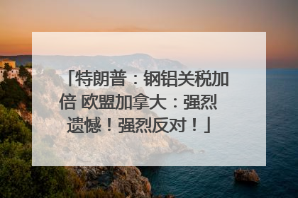 特朗普：钢铝关税加倍 欧盟加拿大：强烈遗憾！强烈反对！