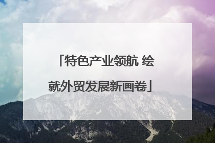 特色产业领航 绘就外贸发展新画卷
