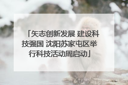 矢志创新发展 建设科技强国 沈阳苏家屯区举行科技活动周启动