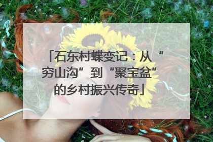 石东村蝶变记：从“穷山沟”到“聚宝盆”的乡村振兴传奇