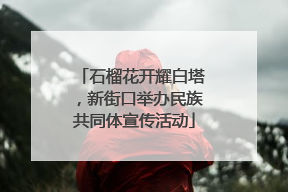 石榴花开耀白塔，新街口举办民族共同体宣传活动