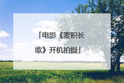 电影《麦积长歌》开机拍摄