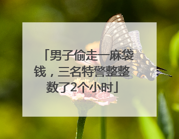 男子偷走一麻袋钱，三名特警整整数了2个小时