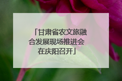 甘肃省农文旅融合发展现场推进会在庆阳召开