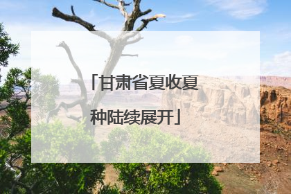 甘肃省夏收夏种陆续展开