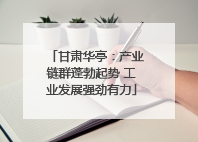 甘肃华亭：产业链群蓬勃起势 工业发展强劲有力