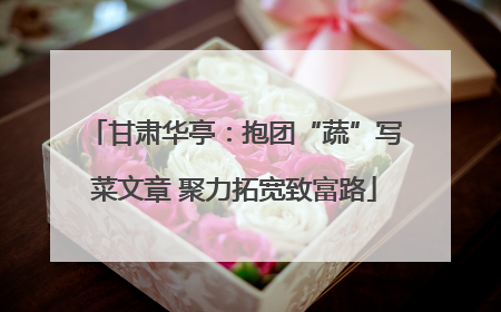 甘肃华亭：抱团“蔬”写菜文章 聚力拓宽致富路