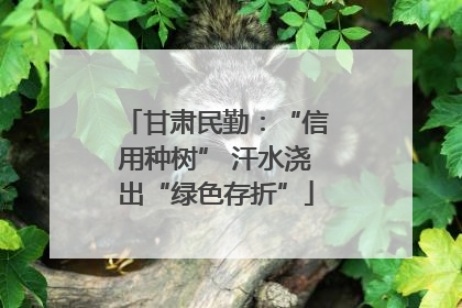 甘肃民勤：“信用种树” 汗水浇出“绿色存折”