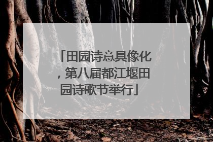 田园诗意具像化，第八届都江堰田园诗歌节举行