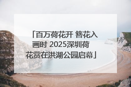 百万荷花开 簪花入画时 2025深圳荷花赏在洪湖公园启幕