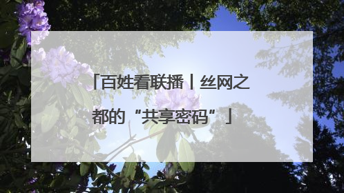 百姓看联播丨丝网之都的“共享密码”