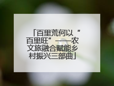 百里荒何以“百里旺”——农文旅融合赋能乡村振兴三部曲