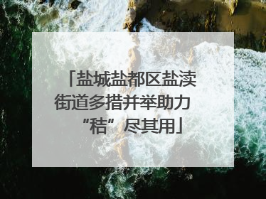 盐城盐都区盐渎街道多措并举助力“秸”尽其用