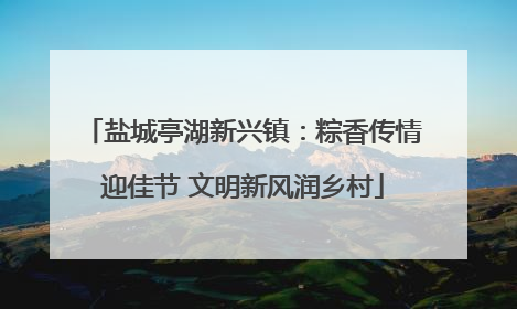 盐城亭湖新兴镇：粽香传情迎佳节 文明新风润乡村